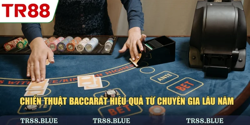 Chiến thuật baccarat hiệu quả từ chuyên gia lâu năm