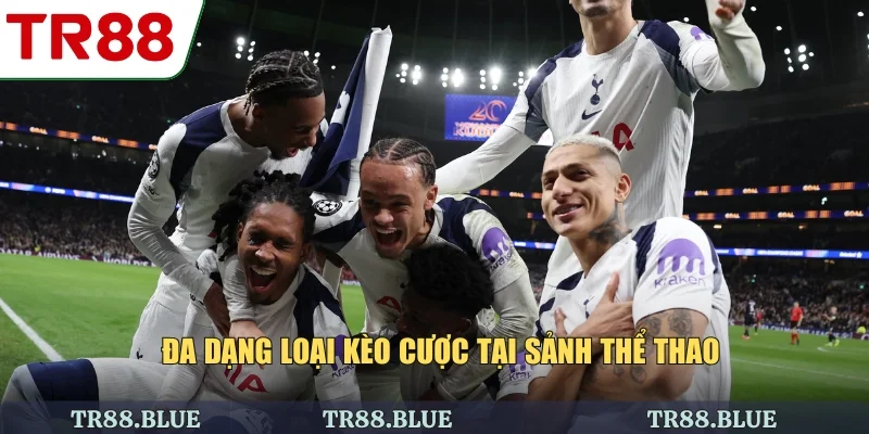 Đa dạng loại kèo cược tại sảnh thể thao