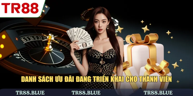 Danh sách ưu đãi đang triển khai cho thành viên