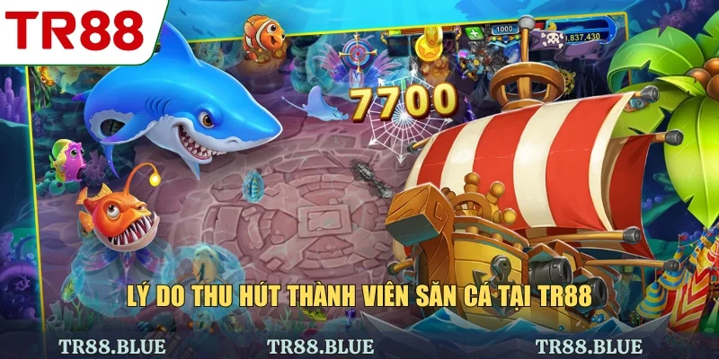 Lý do thu hút thành viên săn cá tại TR88