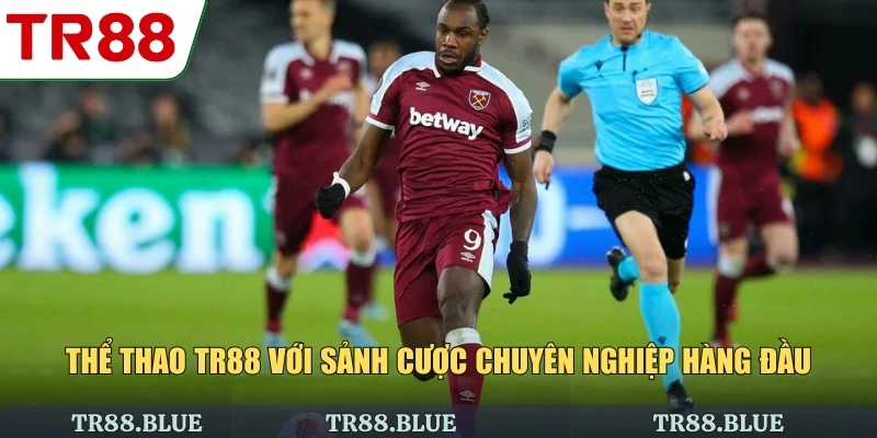 Thể thao TR88 với sảnh cược chuyên nghiệp hàng đầu